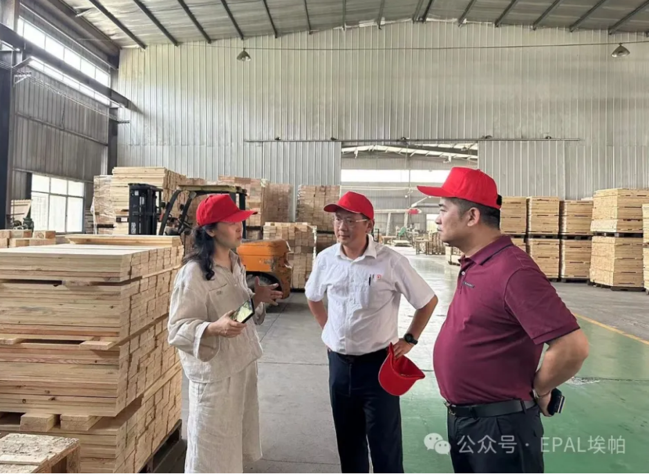 EPAL EPAL QR Code Pioneer Project opens in Lujie, Shandong(图2)